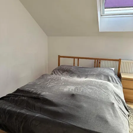 Homestay B Private In Center In
